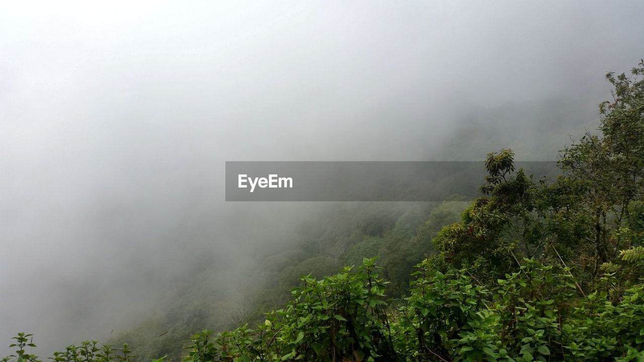 SCENIC VIEW OF MOUNTAINS IN FOGGY WEATHER