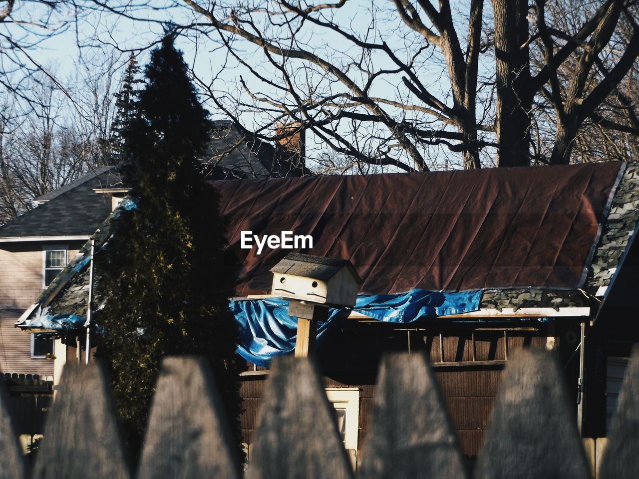 Low angle view of houses against bare tree