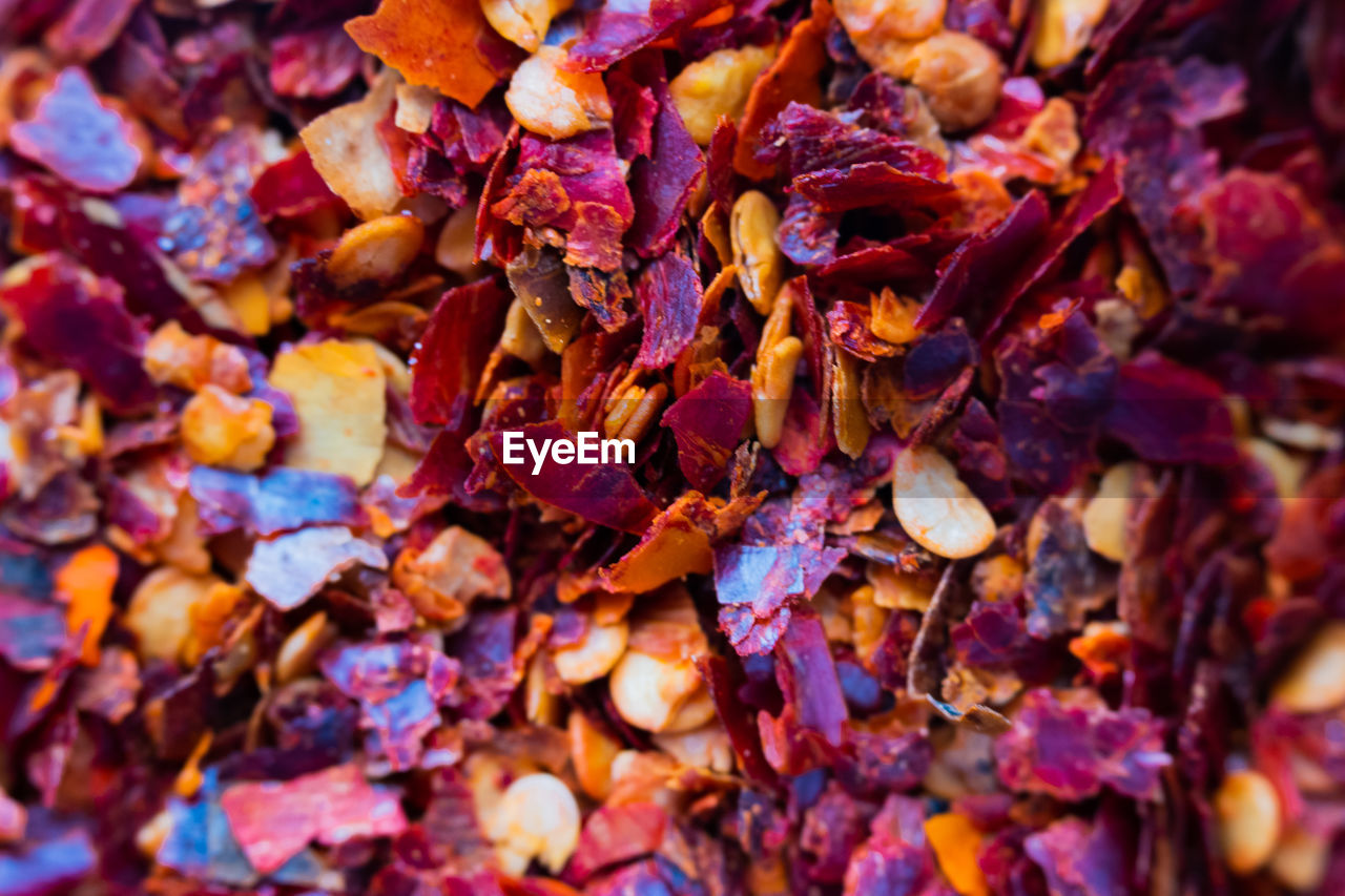Full frame shot of multi colored leaves