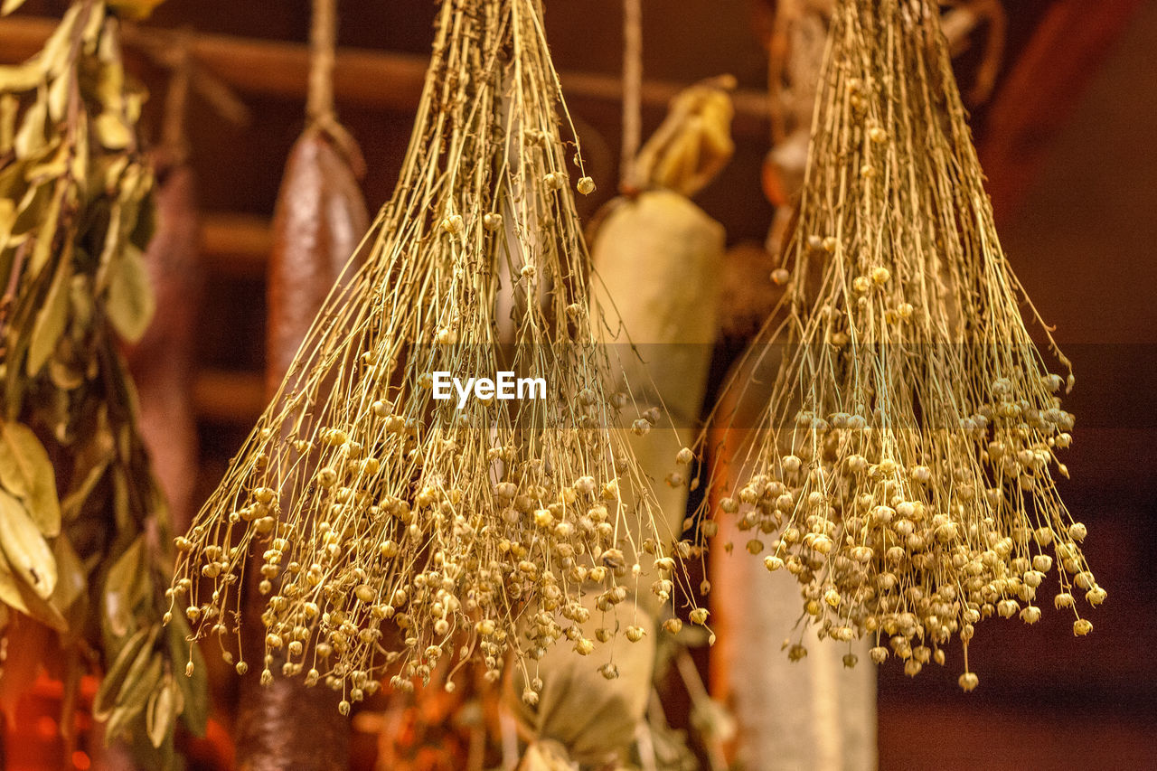 Close-up of dried plants for sale at market