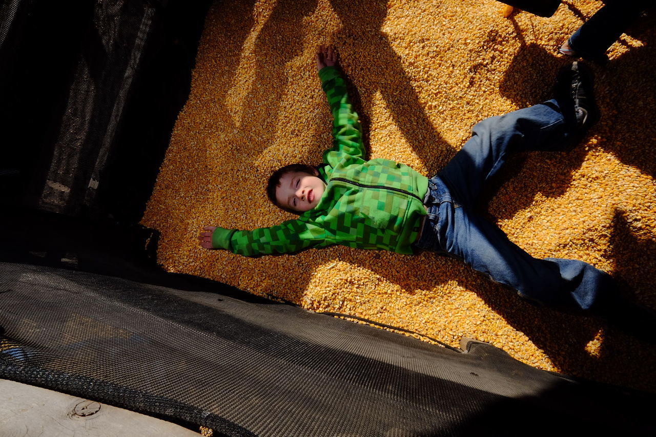 High angle view of playful boy lying on corn seeds