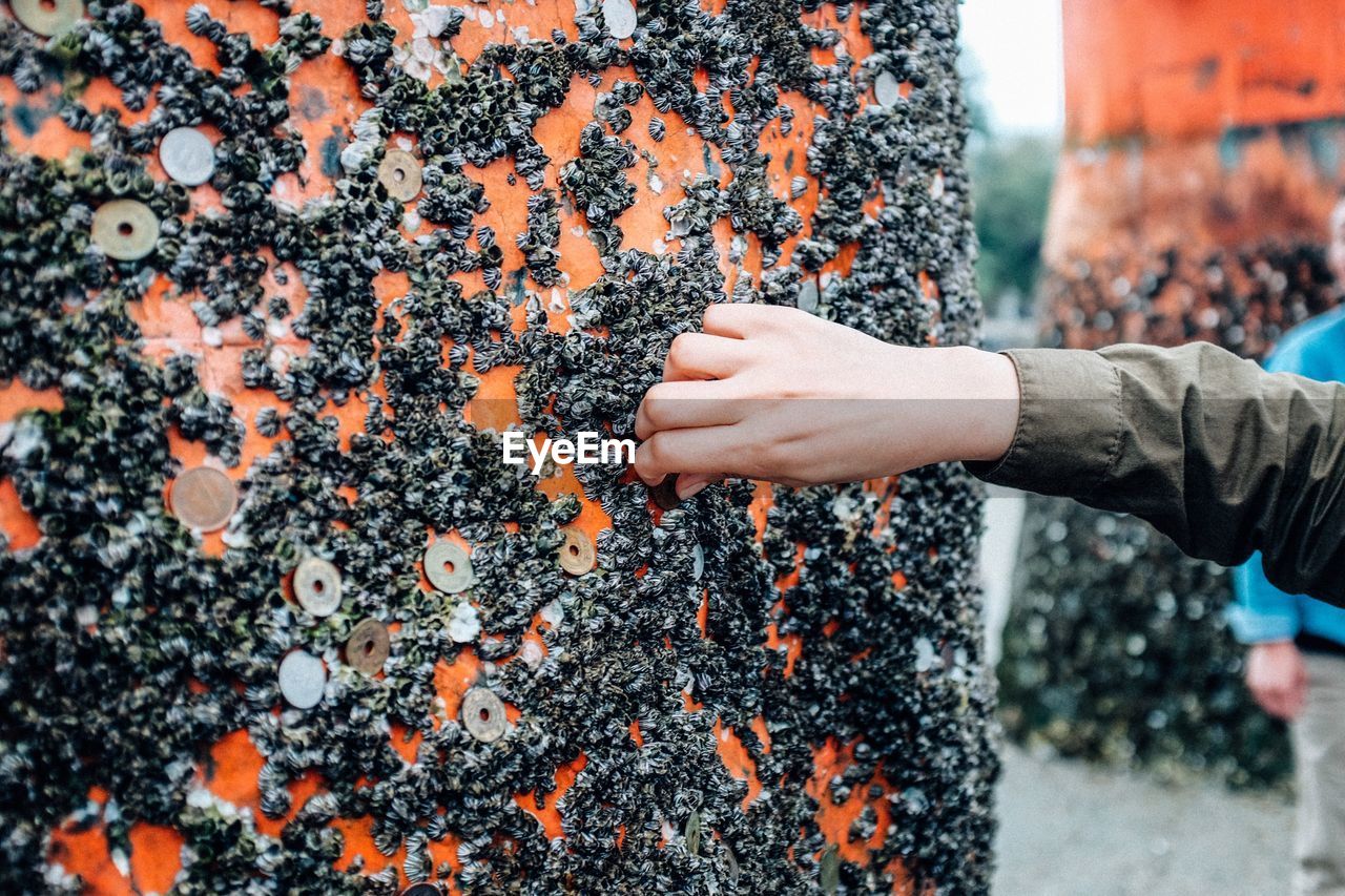 Cropped hand of person holding coin on wall