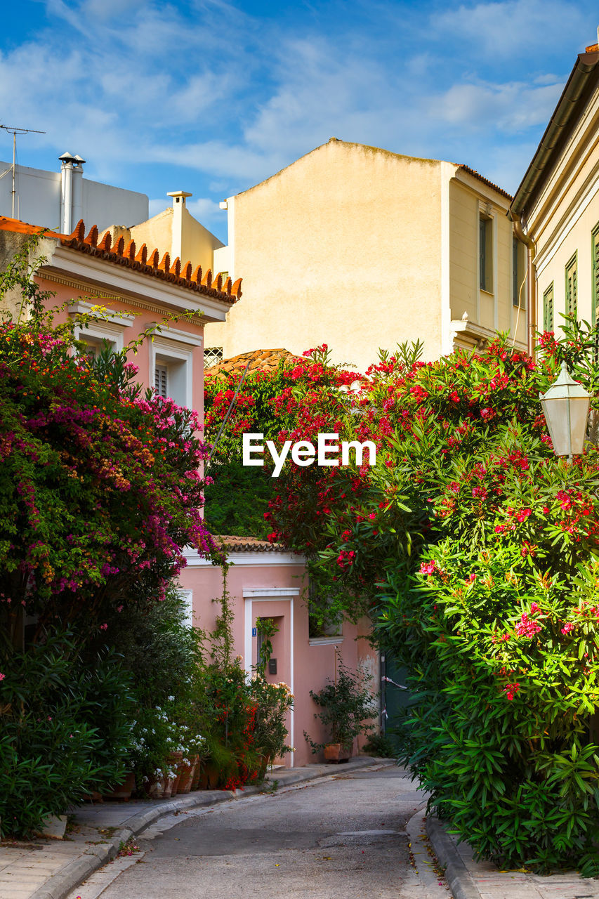 Street with a lot of flowers in plaka neighbourhood of athens, greece.