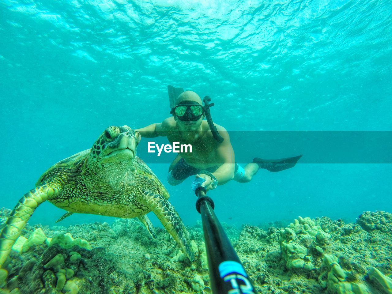 Man snorkeling with sea turtle