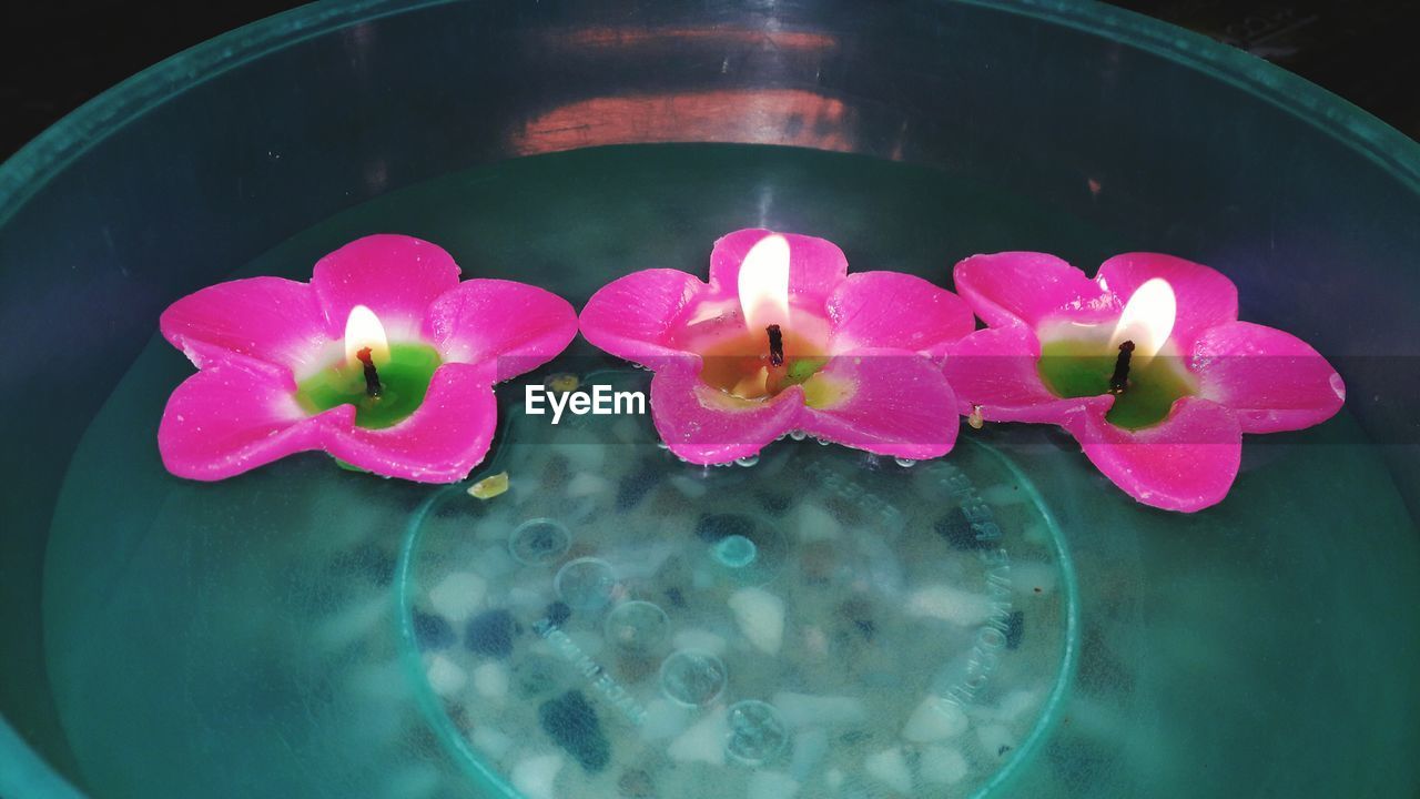 HIGH ANGLE VIEW OF PINK LOTUS WATER LILY