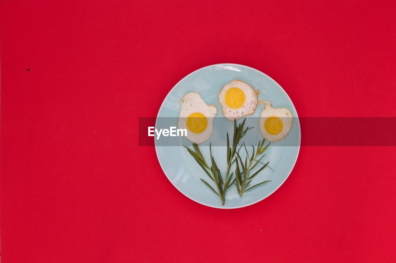 Egg flowers in a blue plate on red background