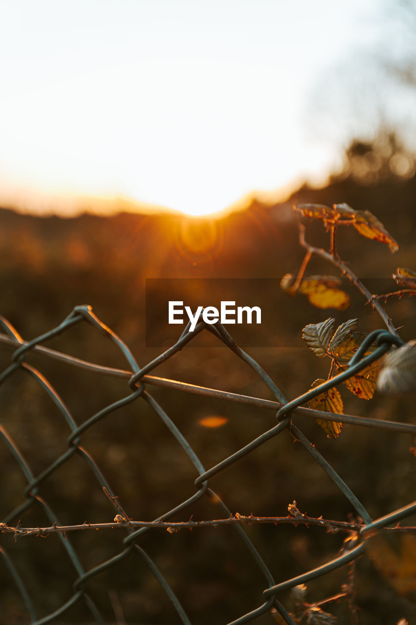 CLOSE-UP OF FENCE DURING SUNSET