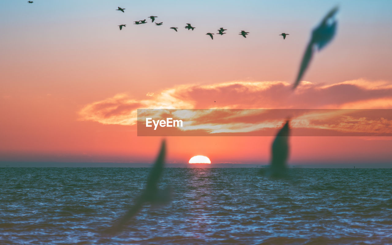 Scenic view of sea against sky during sunrise