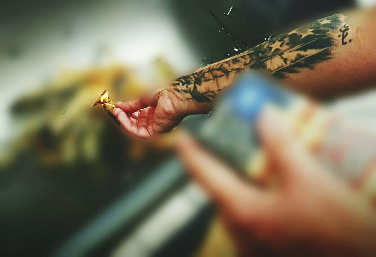 CLOSE-UP OF HAND WITH LIZARD ON FINGER