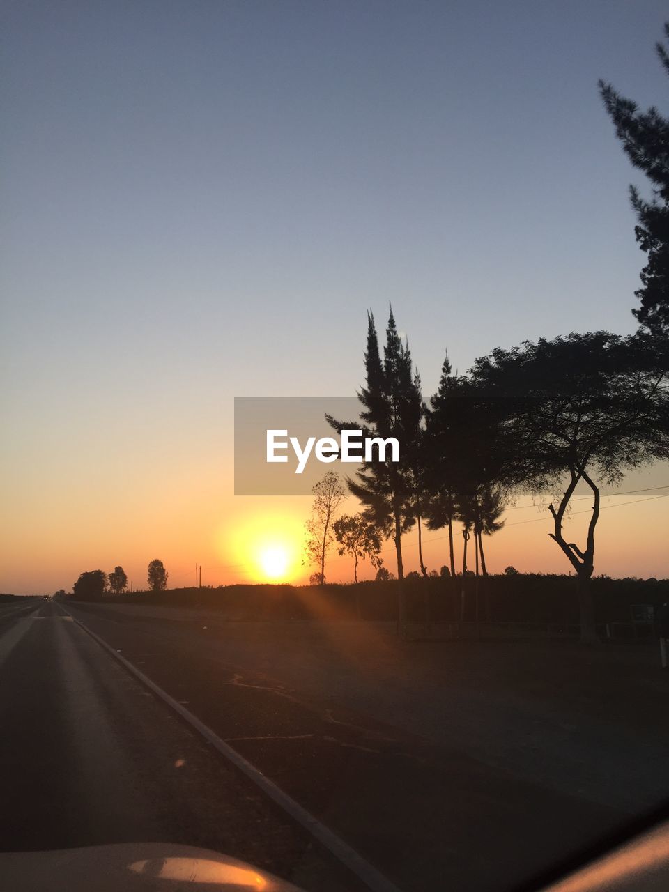 SILHOUETTE TREES ON ROAD AGAINST CLEAR SKY