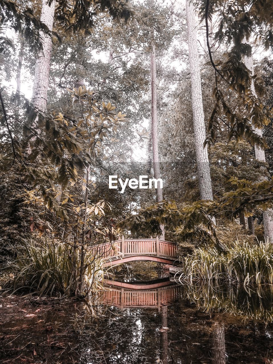 BUILT STRUCTURE IN FOREST