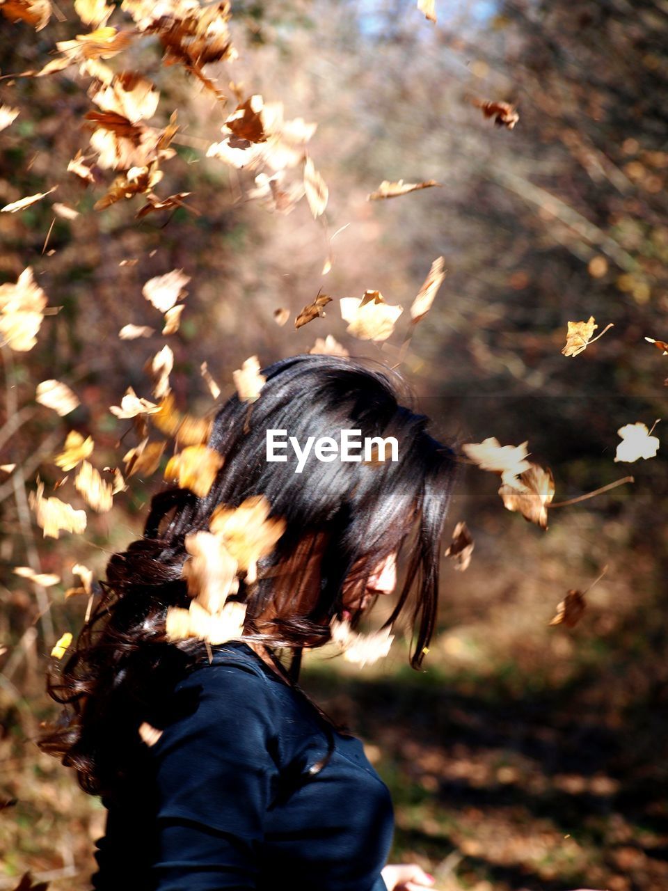 Autumn leaves falling on woman standing in forest