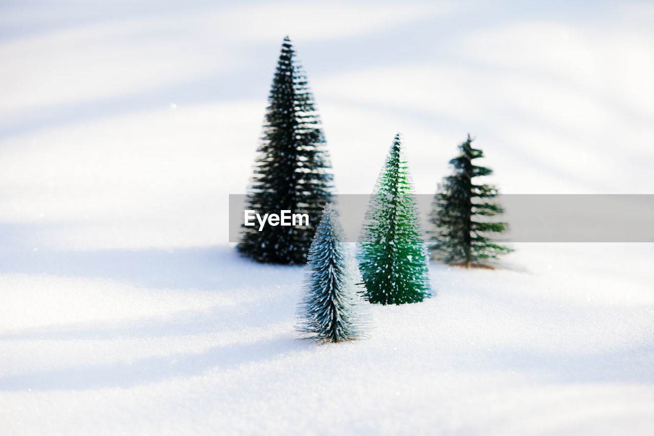 CLOSE-UP OF TREE ON SNOW COVERED FIELD DURING WINTER