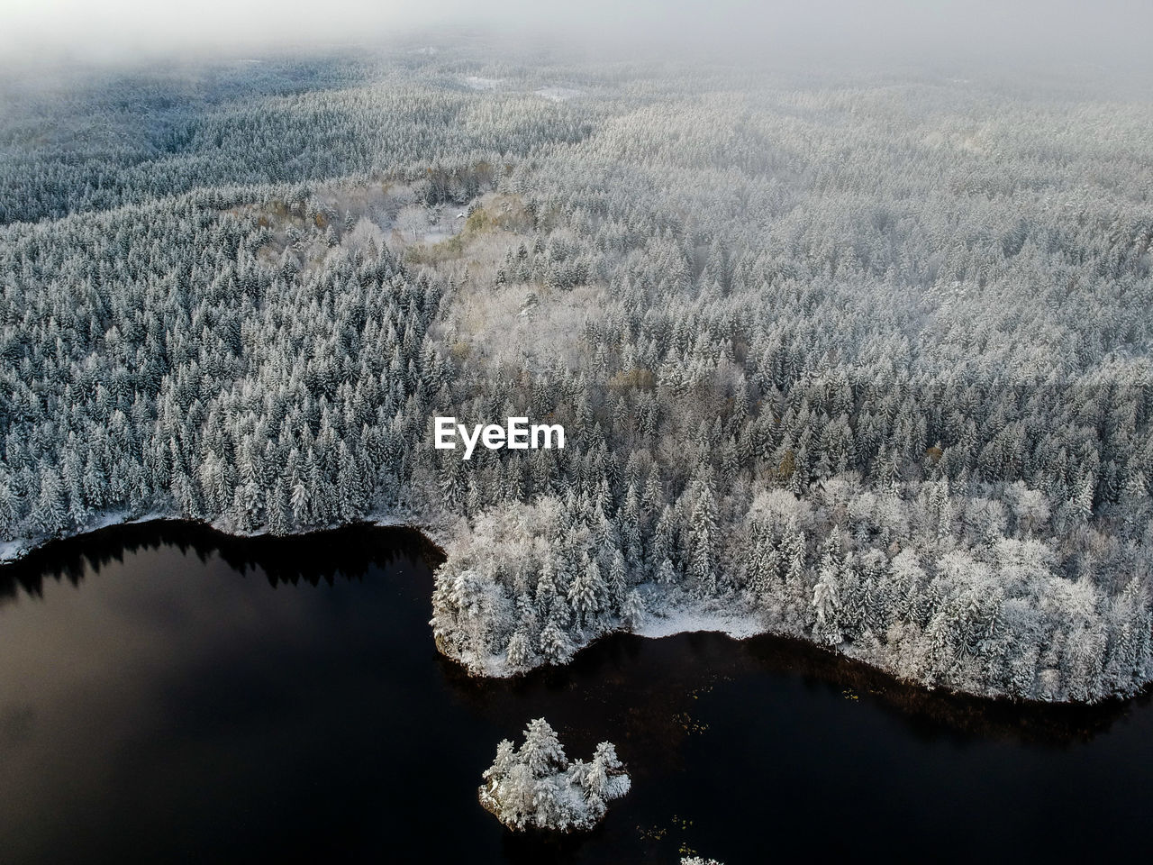Aerial view of snow covered trees by lake