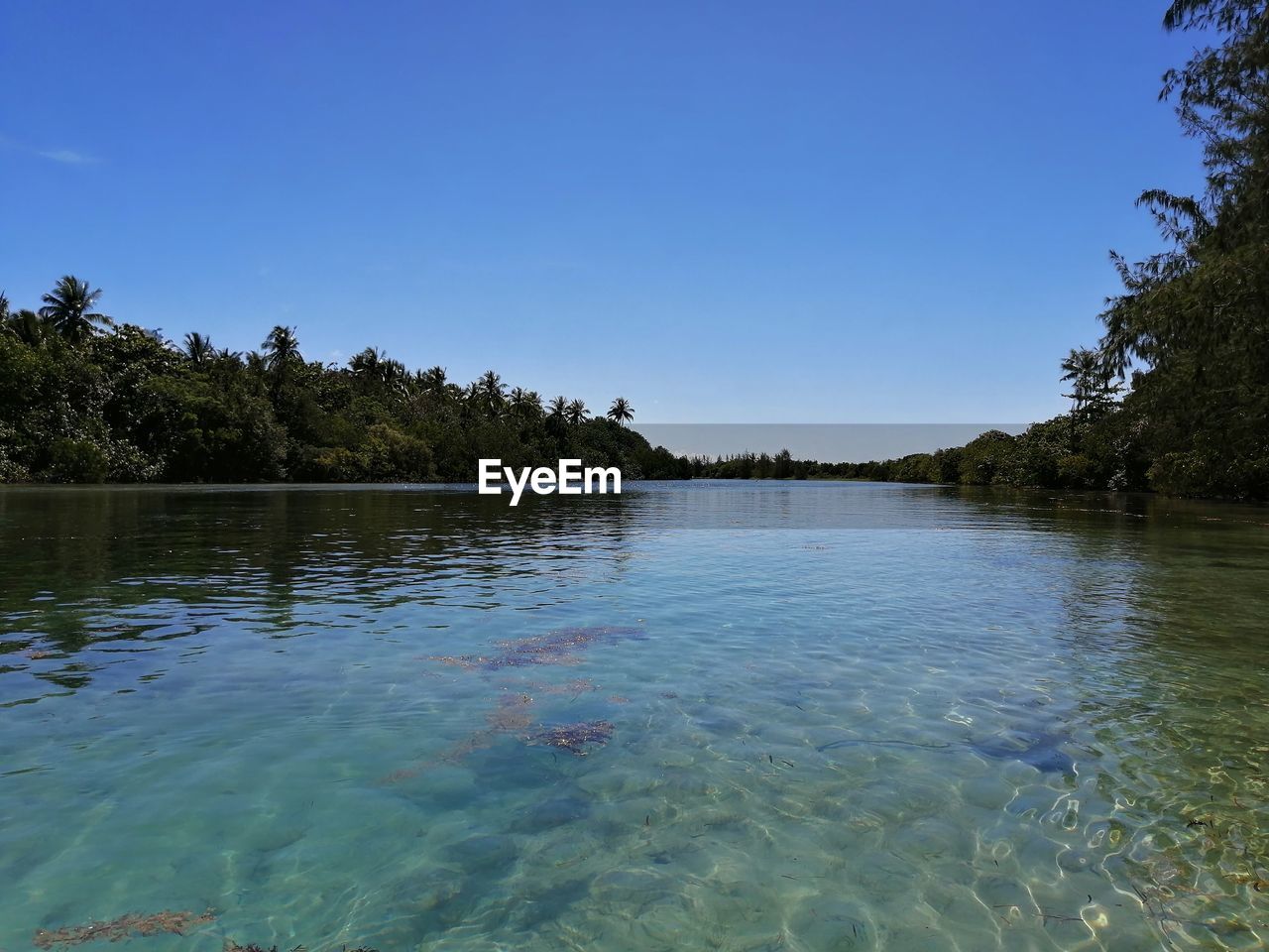 Lake, clear water