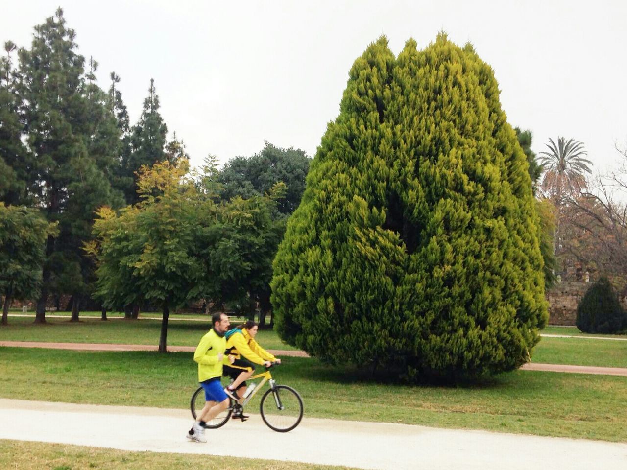 PERSON RIDING BICYCLE ON MOTORCYCLE