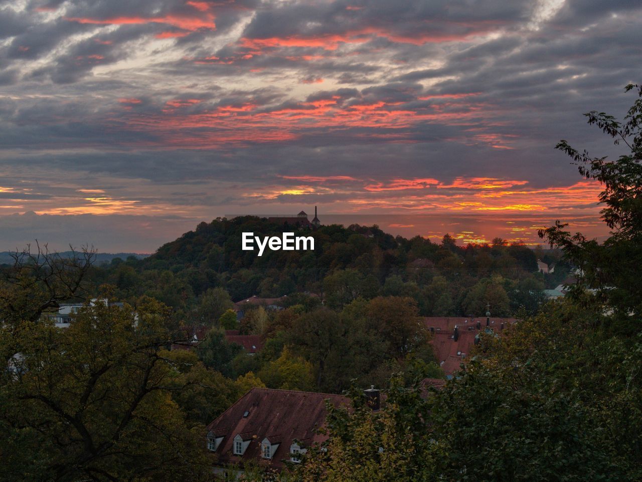 Trees and buildings against sky during sunset