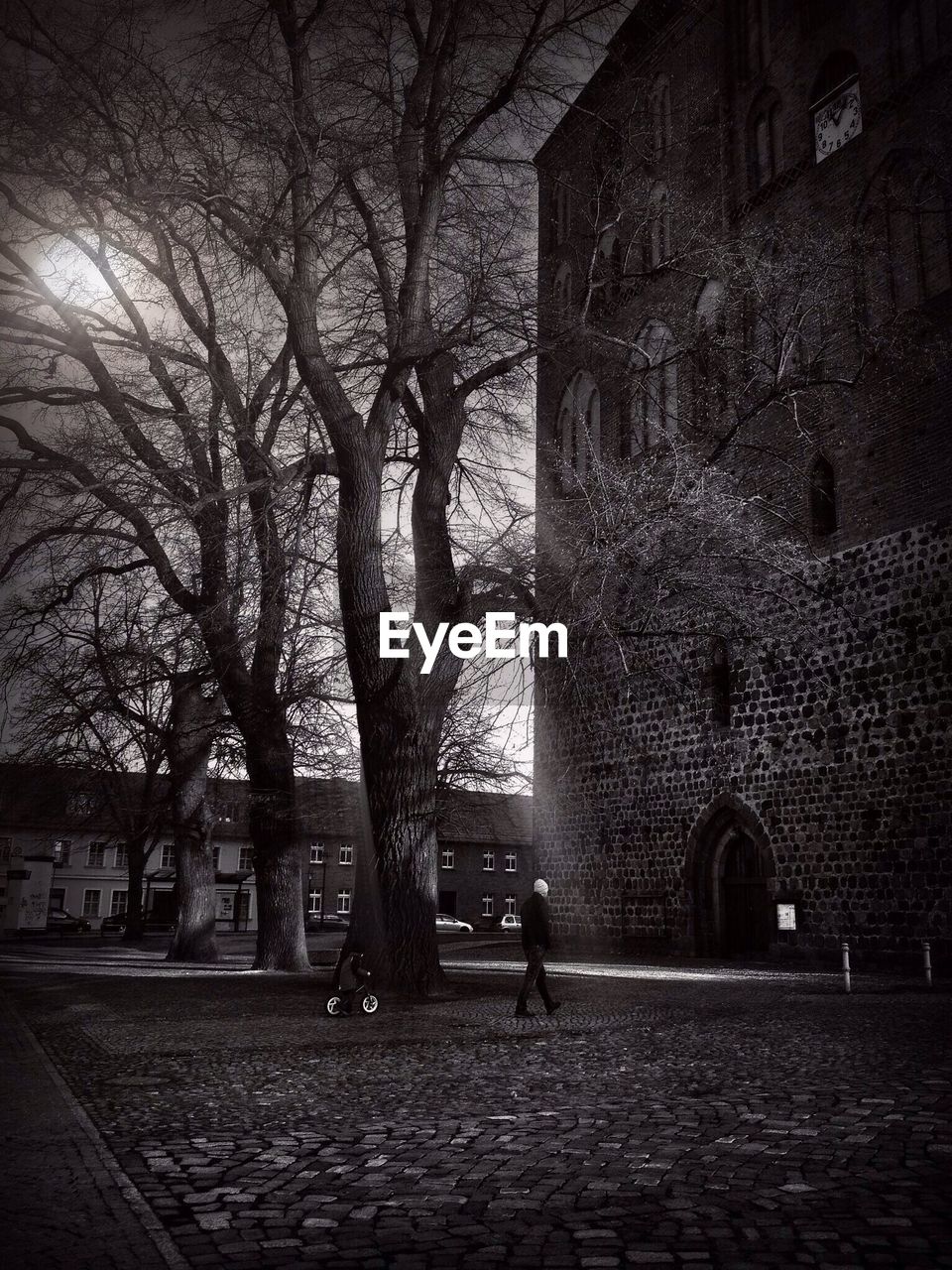 Person walking by bare tree against historic building