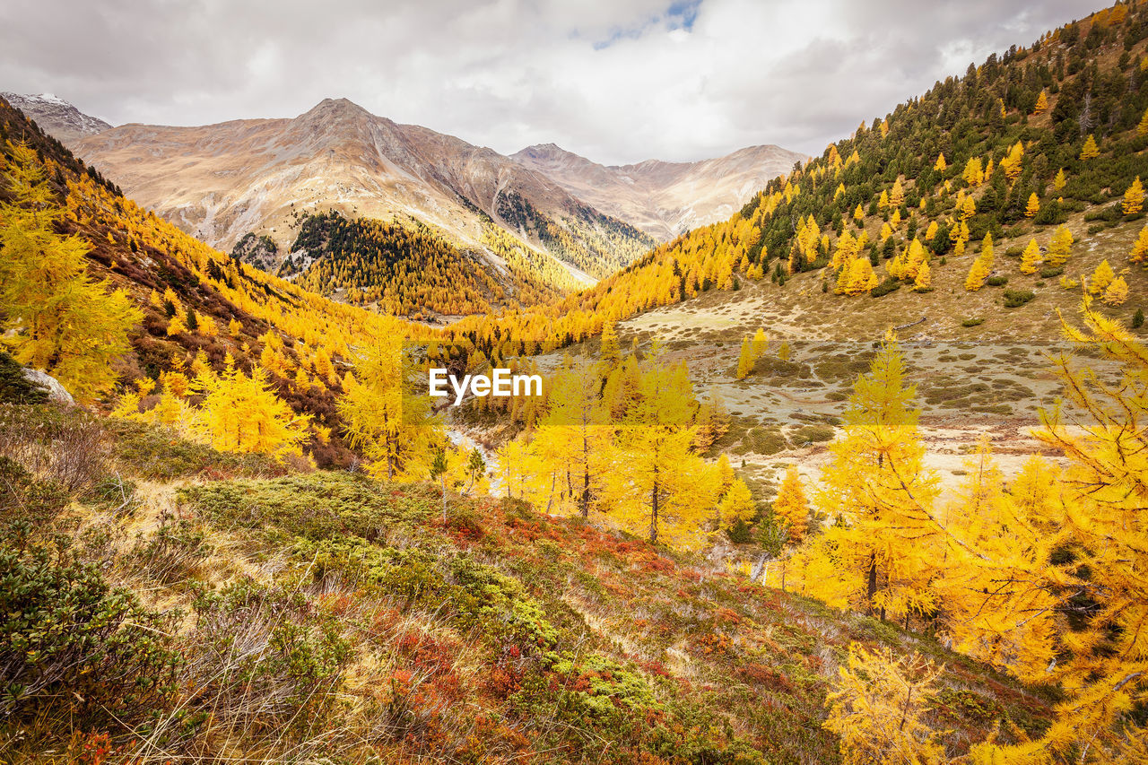 SCENIC VIEW OF MOUNTAINS DURING AUTUMN