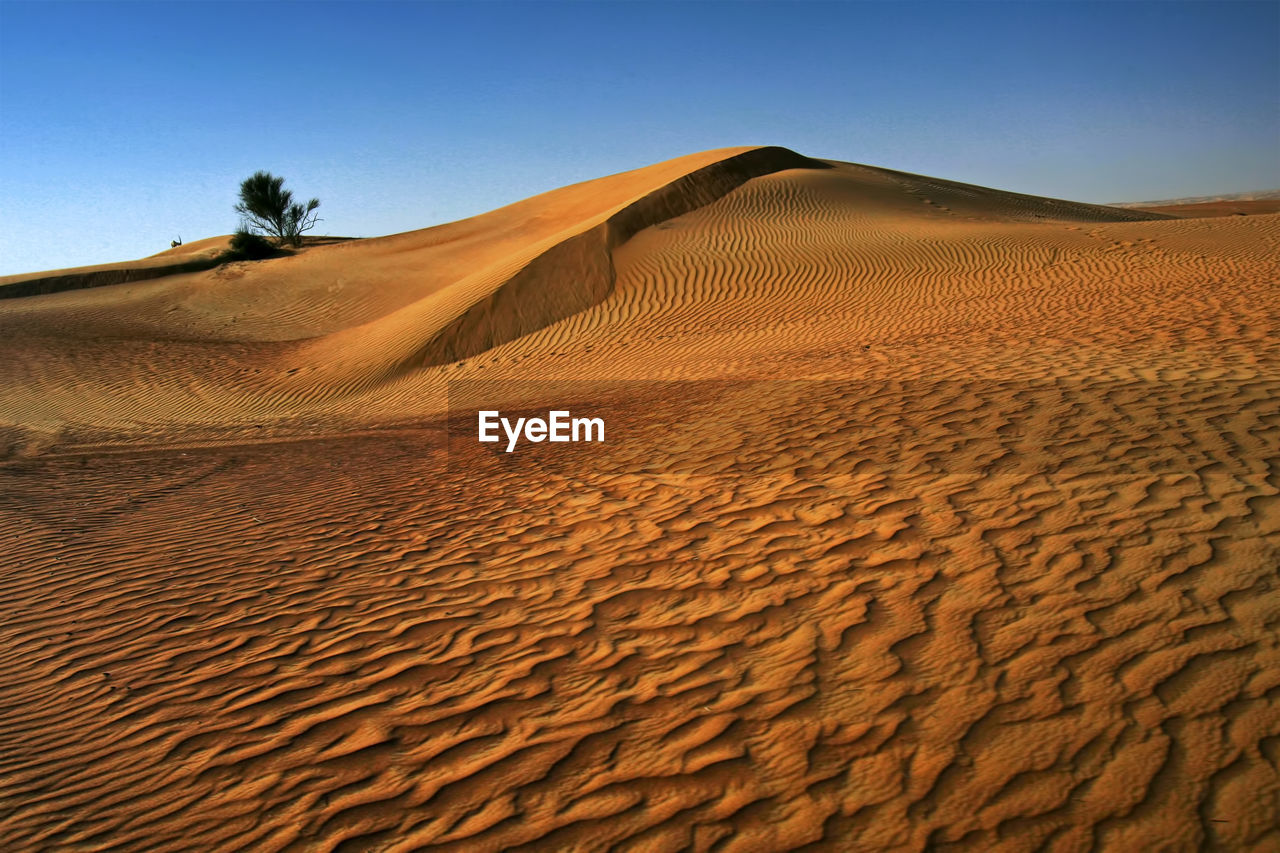 SCENIC VIEW OF SAND DUNES AGAINST CLEAR SKY