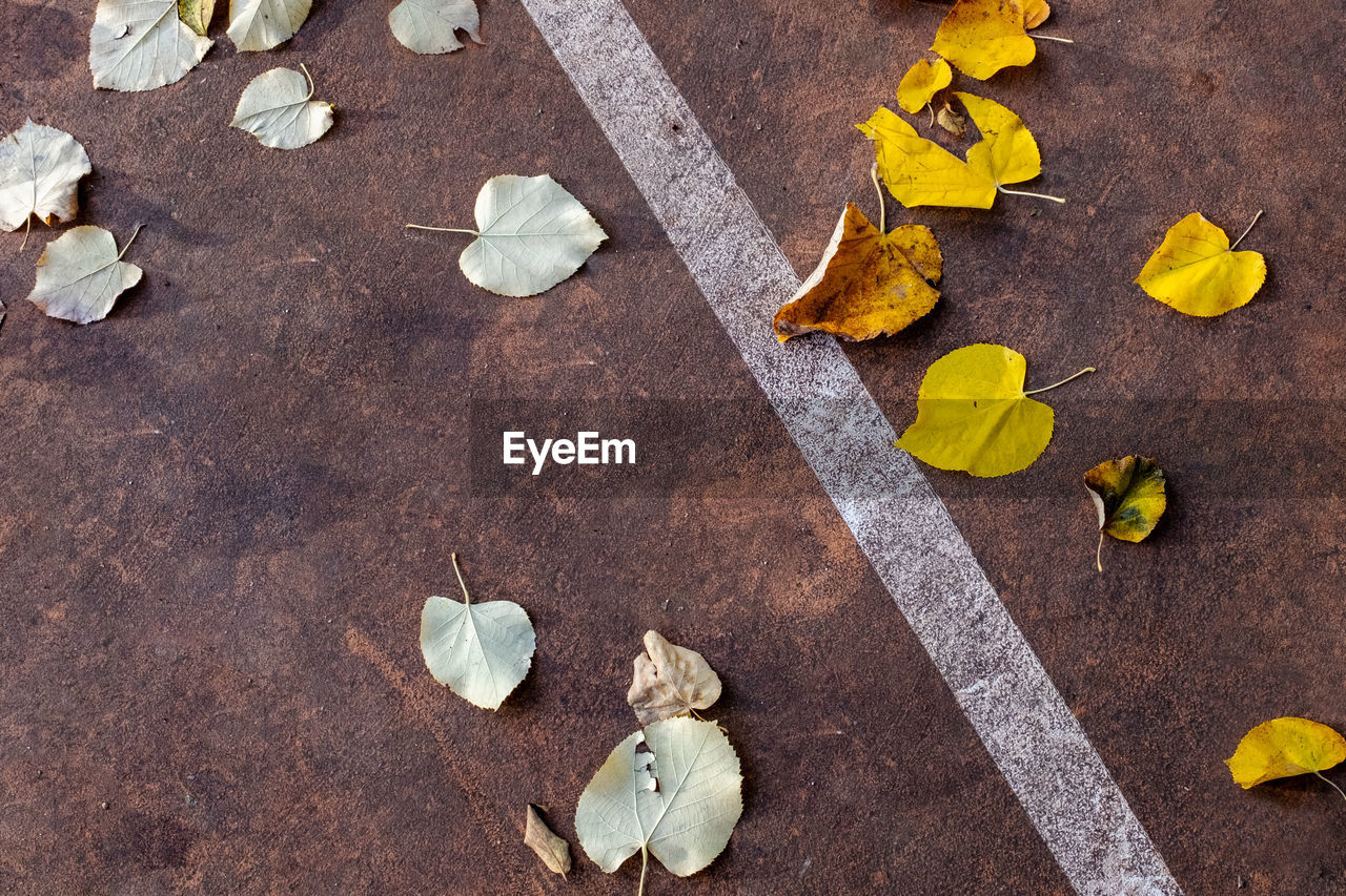 Closeup of autumn leaves fallen on a outdoor playground and arranged differently along diagonal line