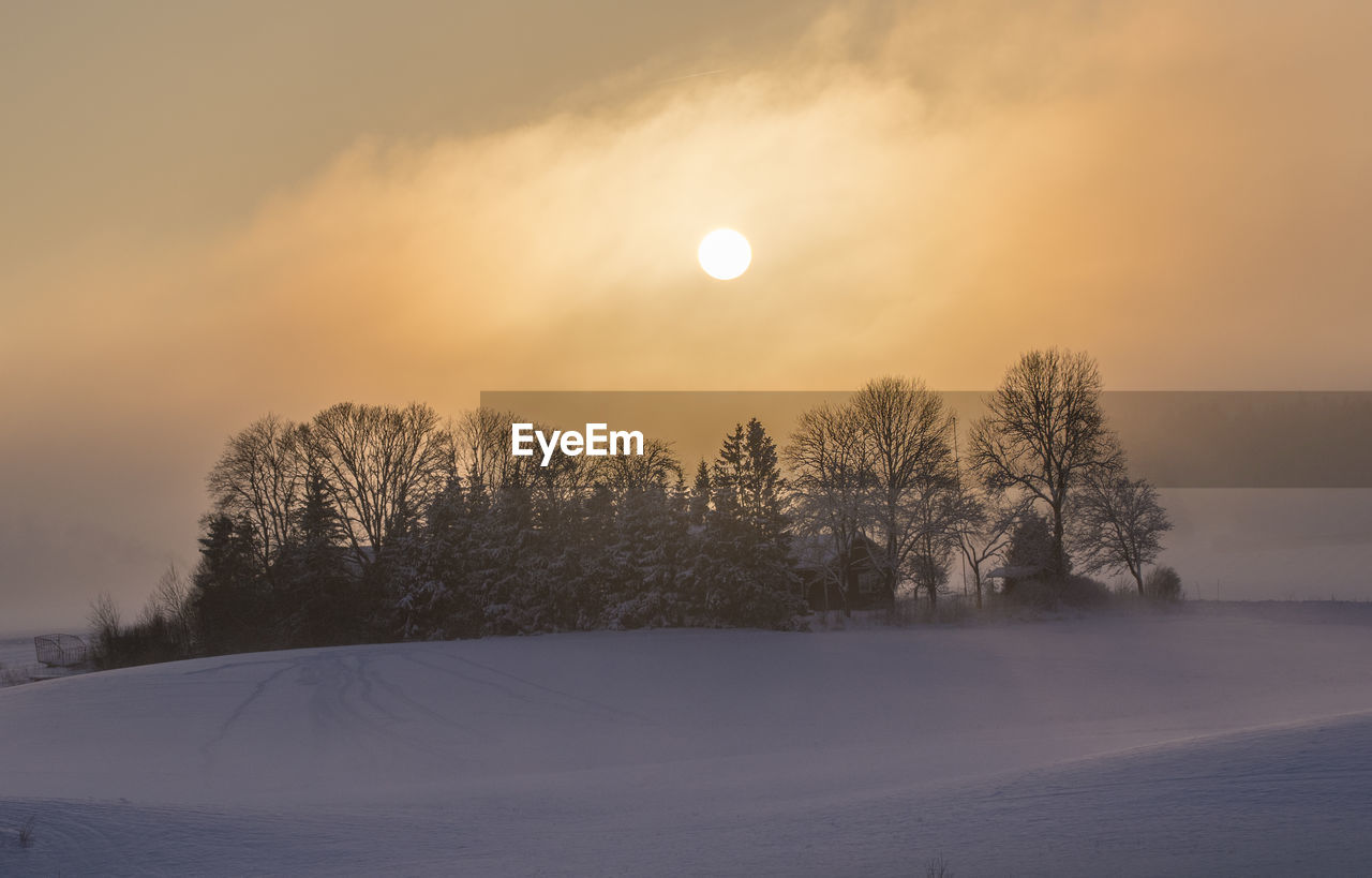 Foggy sunset on the landabyggd in winter time