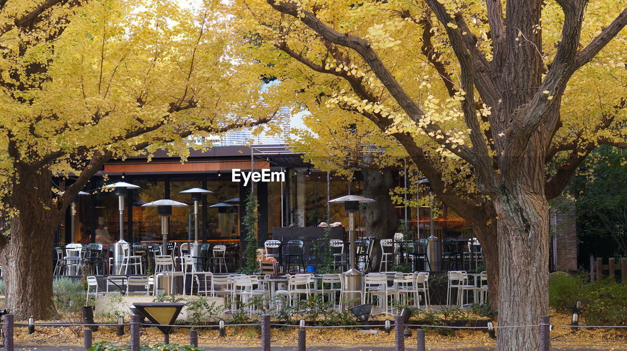 Empty cafe by park during autumn