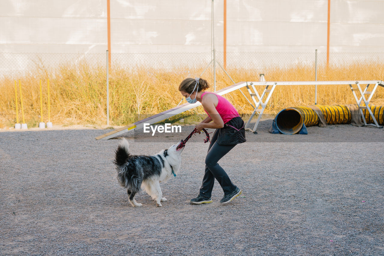 Border collie dog pulling rope from hand of female instructor during training on playground with agility equipment