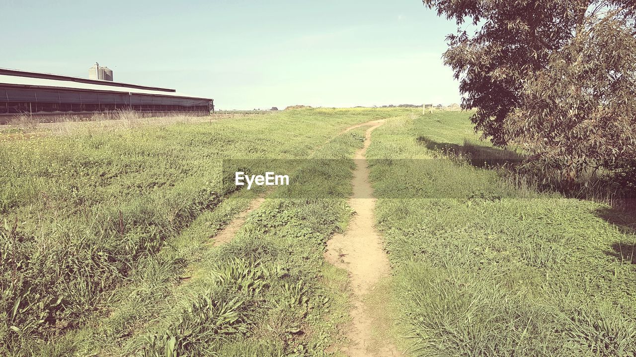 SCENIC VIEW OF FARM AGAINST SKY