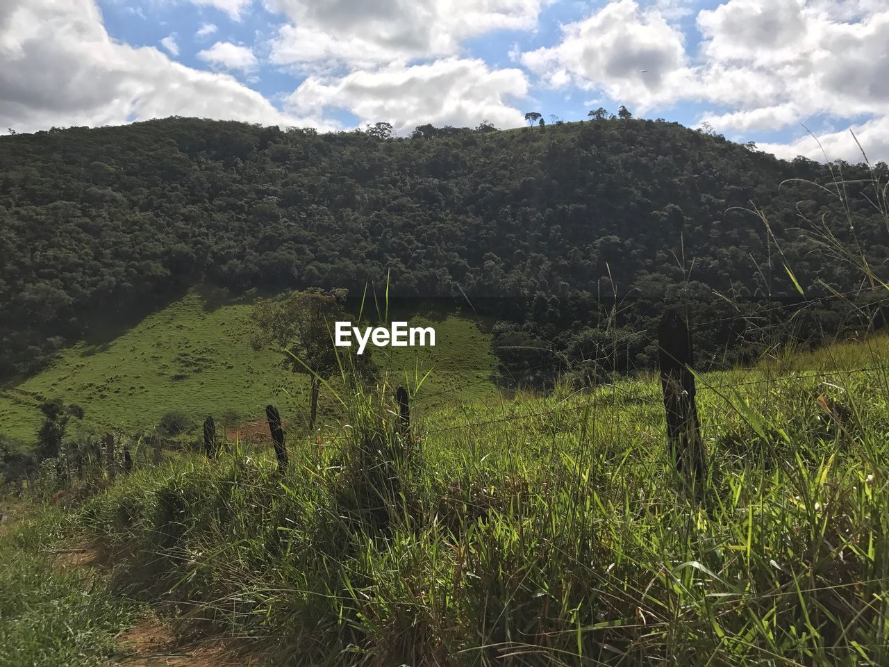 AGRICULTURAL FIELD AGAINST SKY