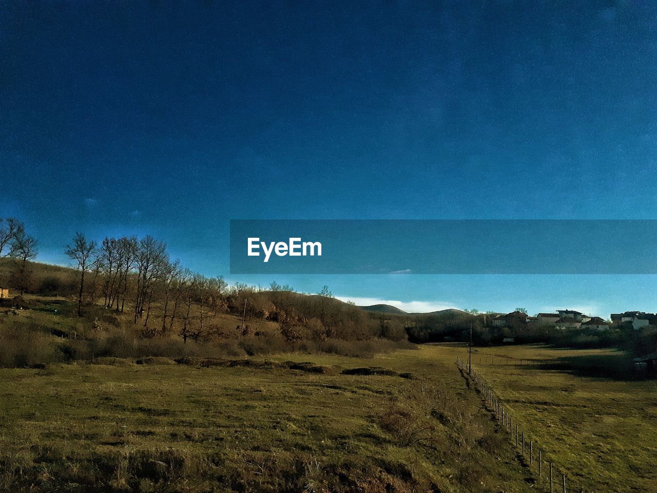 TREES ON FIELD AGAINST BLUE SKY