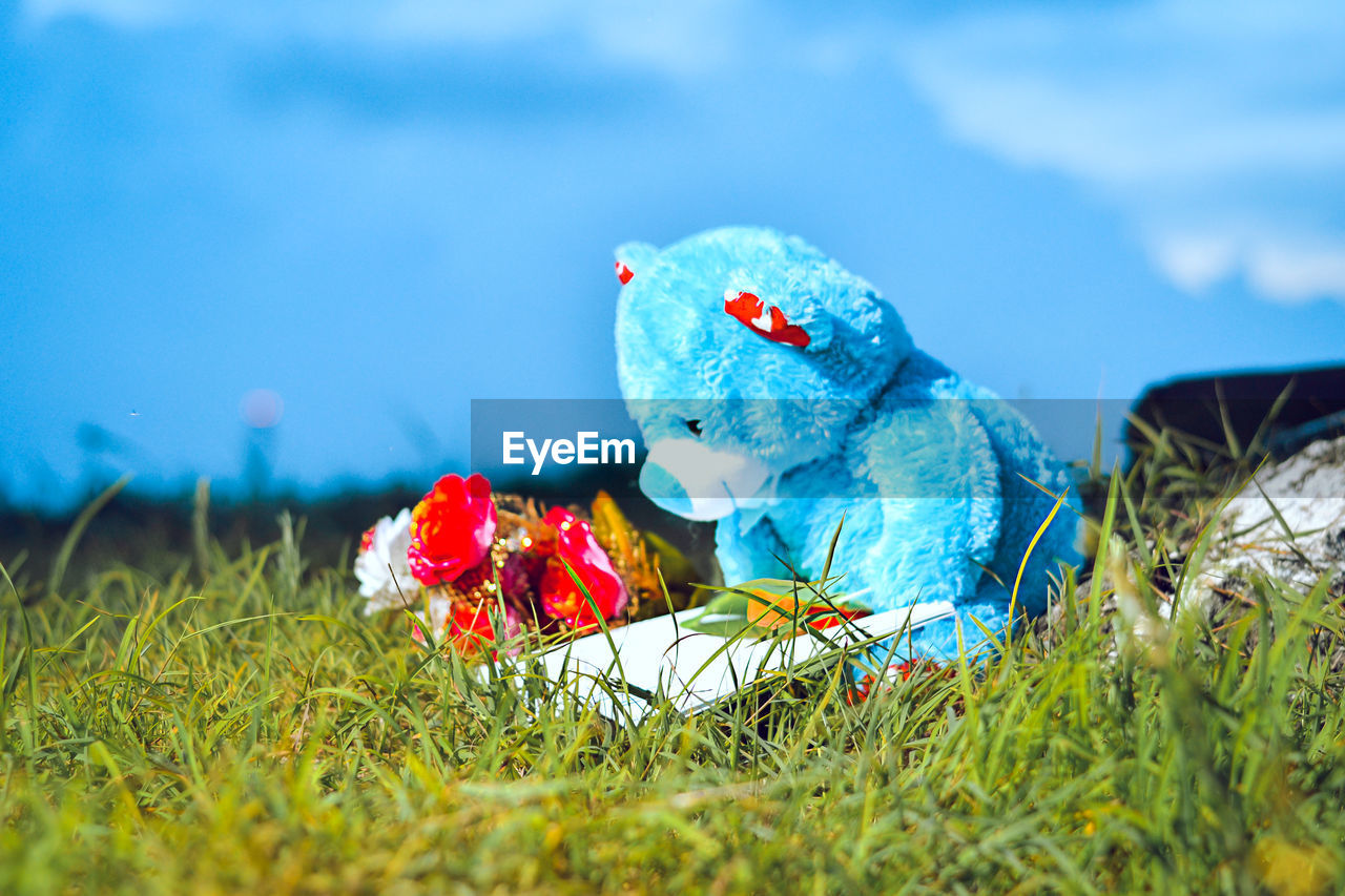 CLOSE-UP OF STUFFED TOY ON ROCK