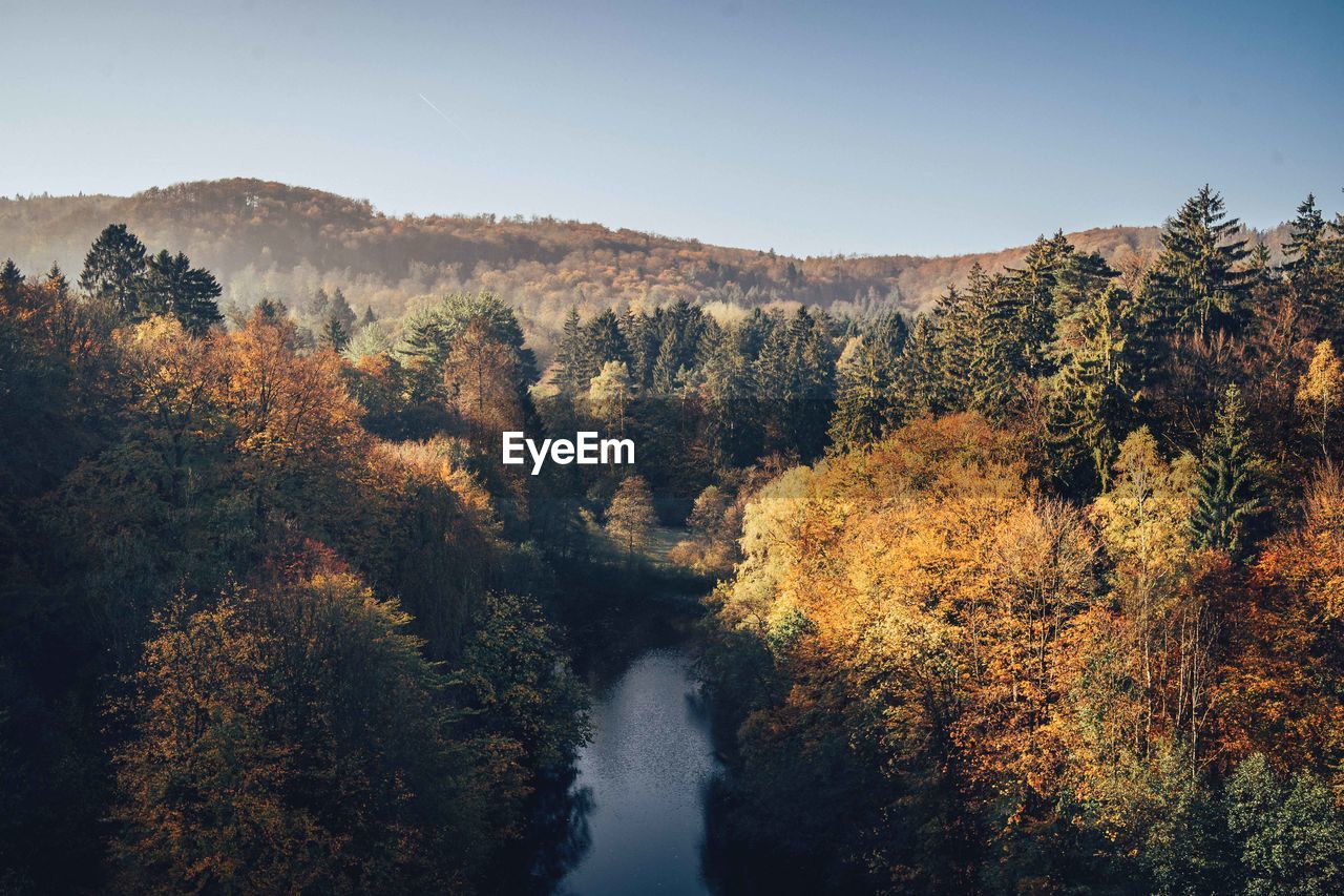 Scenic view of river amidst trees against clear sky in autumn