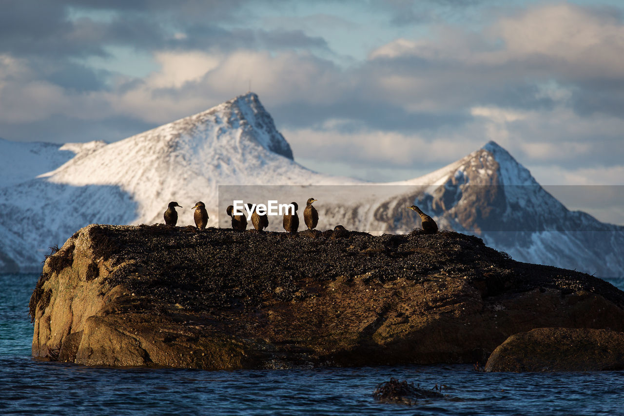 SCENIC VIEW OF SEA AGAINST SNOWCAPPED MOUNTAINS