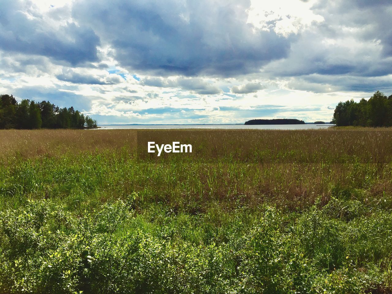 VIEW OF FIELD AGAINST CLOUDY SKY