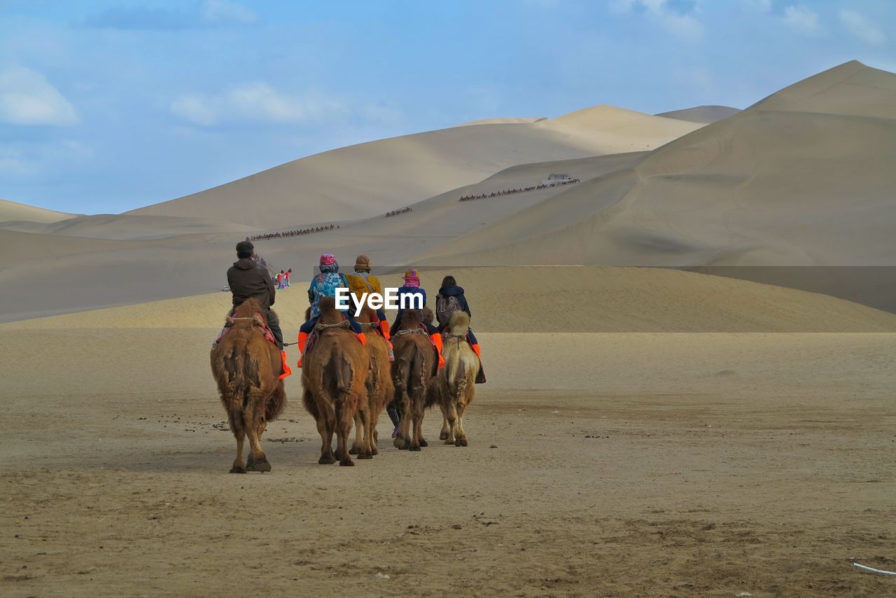 Rear view of tourists riding camel at desert