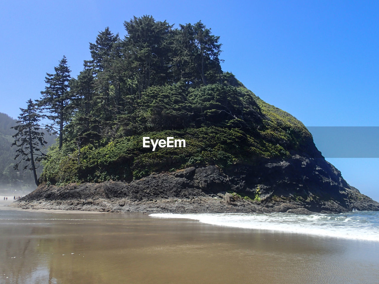 SCENIC VIEW OF SEA WITH TREES IN BACKGROUND