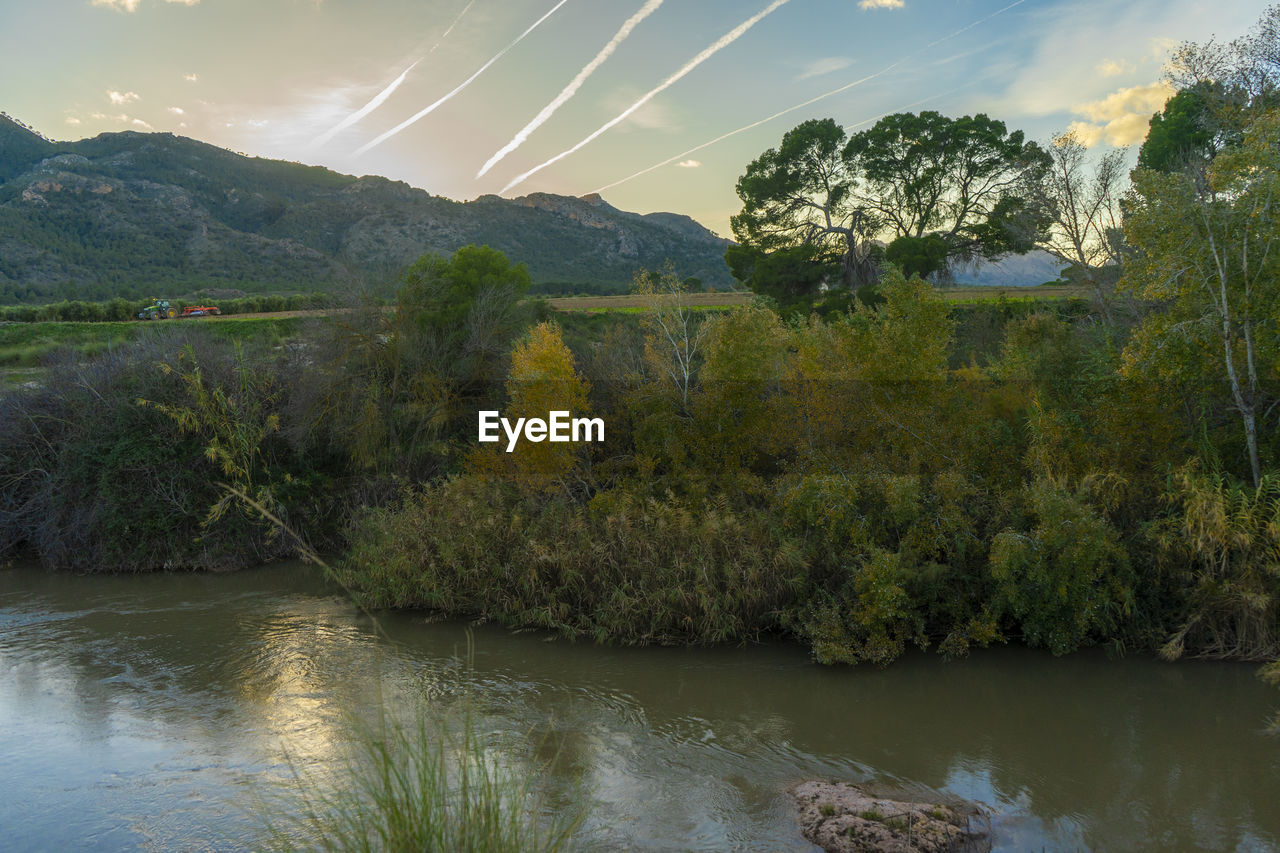 SCENIC VIEW OF RIVER AMIDST TREES AGAINST SKY