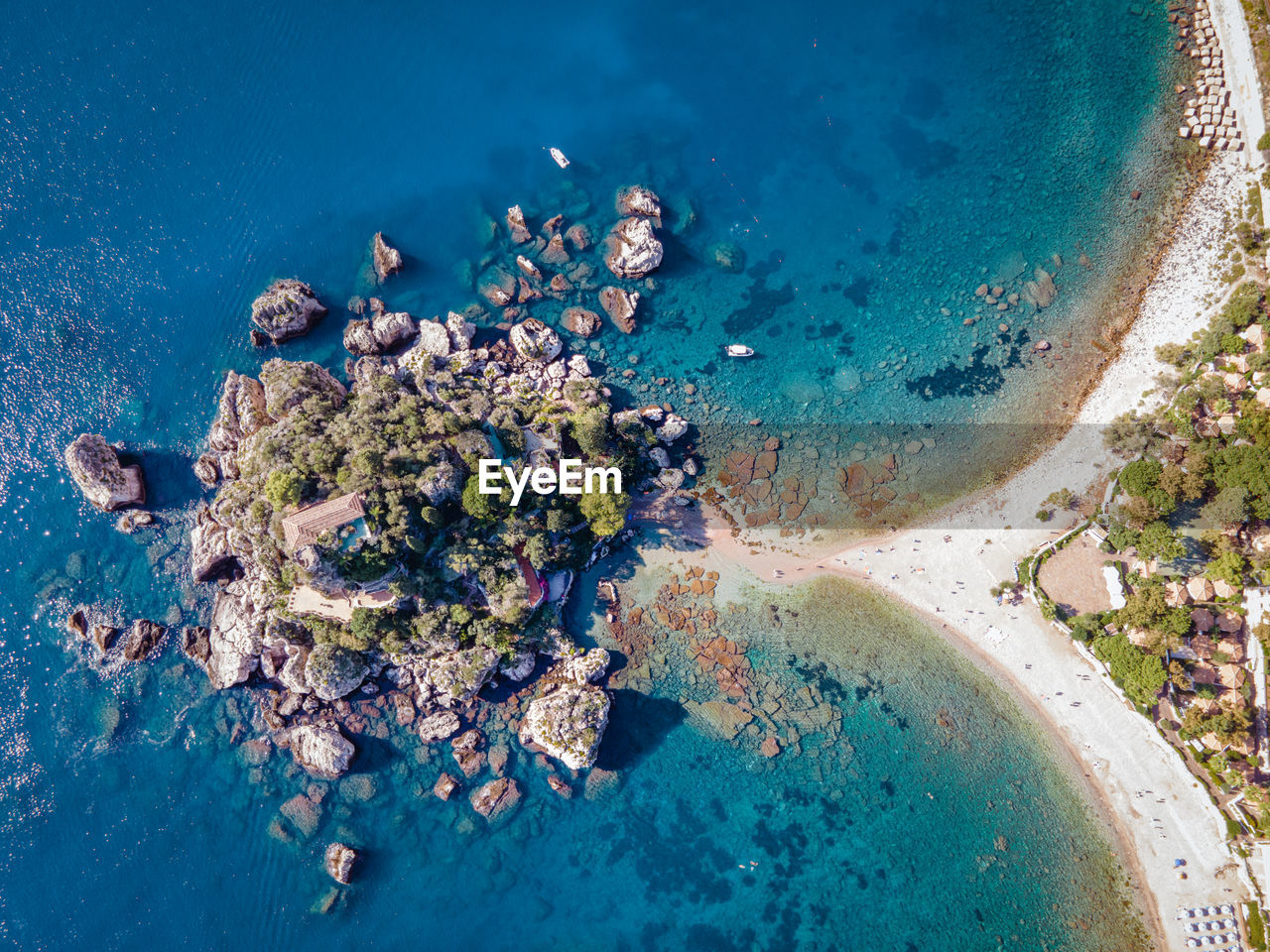 HIGH ANGLE VIEW OF CORAL ON SEA