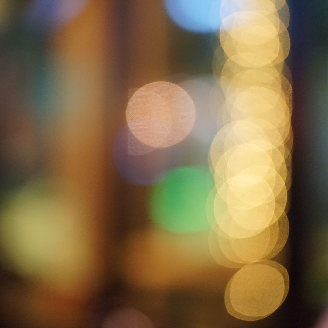 CLOSE-UP OF PLANT AGAINST BLURRED BACKGROUND