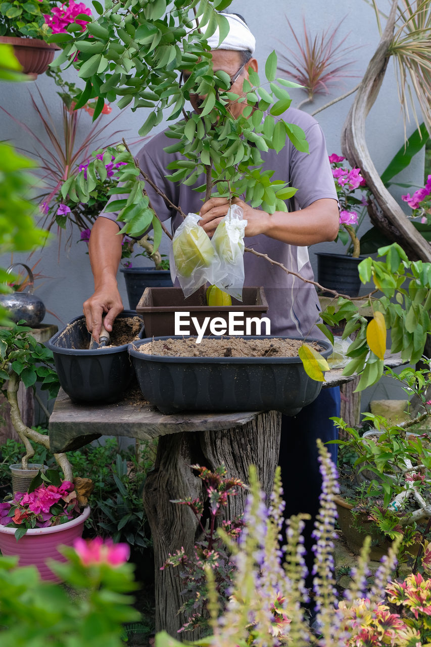 WOMAN HOLDING POTTED PLANT AT GARDEN