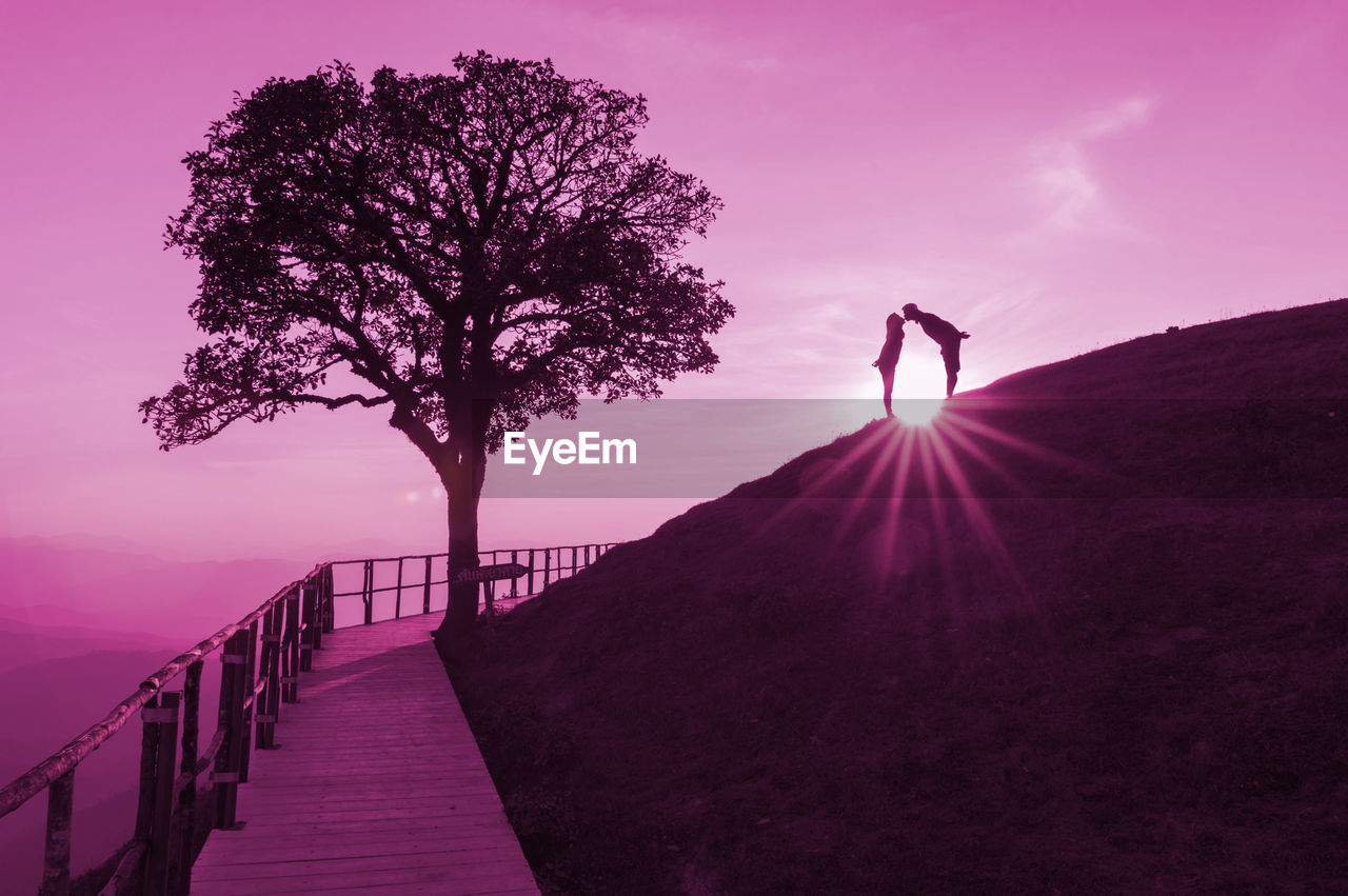 SILHOUETTE MAN STANDING BY PURPLE TREE AGAINST SKY