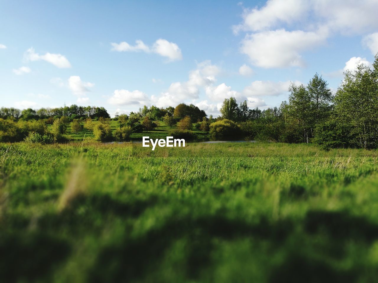 Scenic view of field against cloudy sky