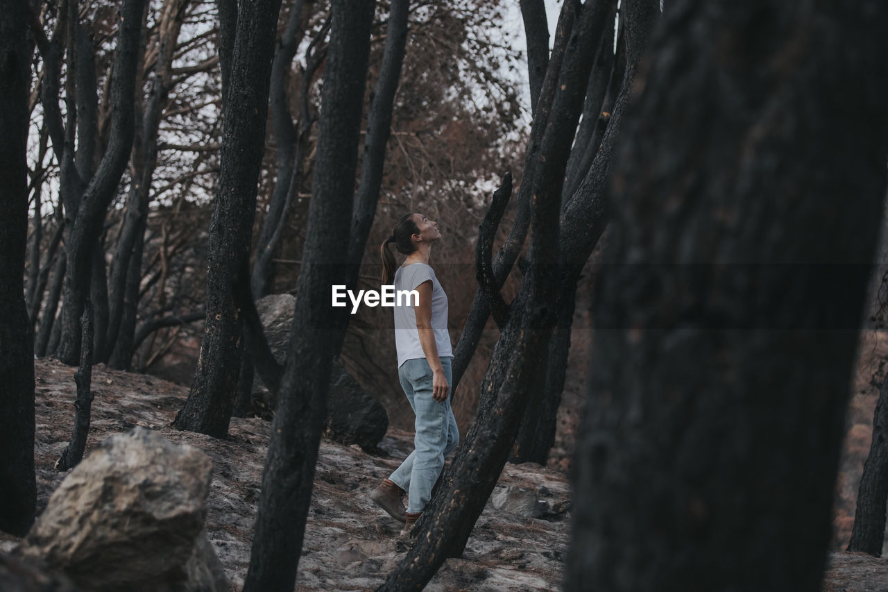 Woman walking amidst burnt trees in forest