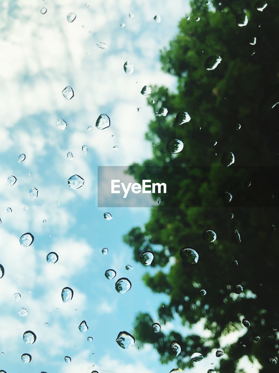 CLOSE-UP OF RAINDROPS ON GLASS WINDOW AGAINST TREES