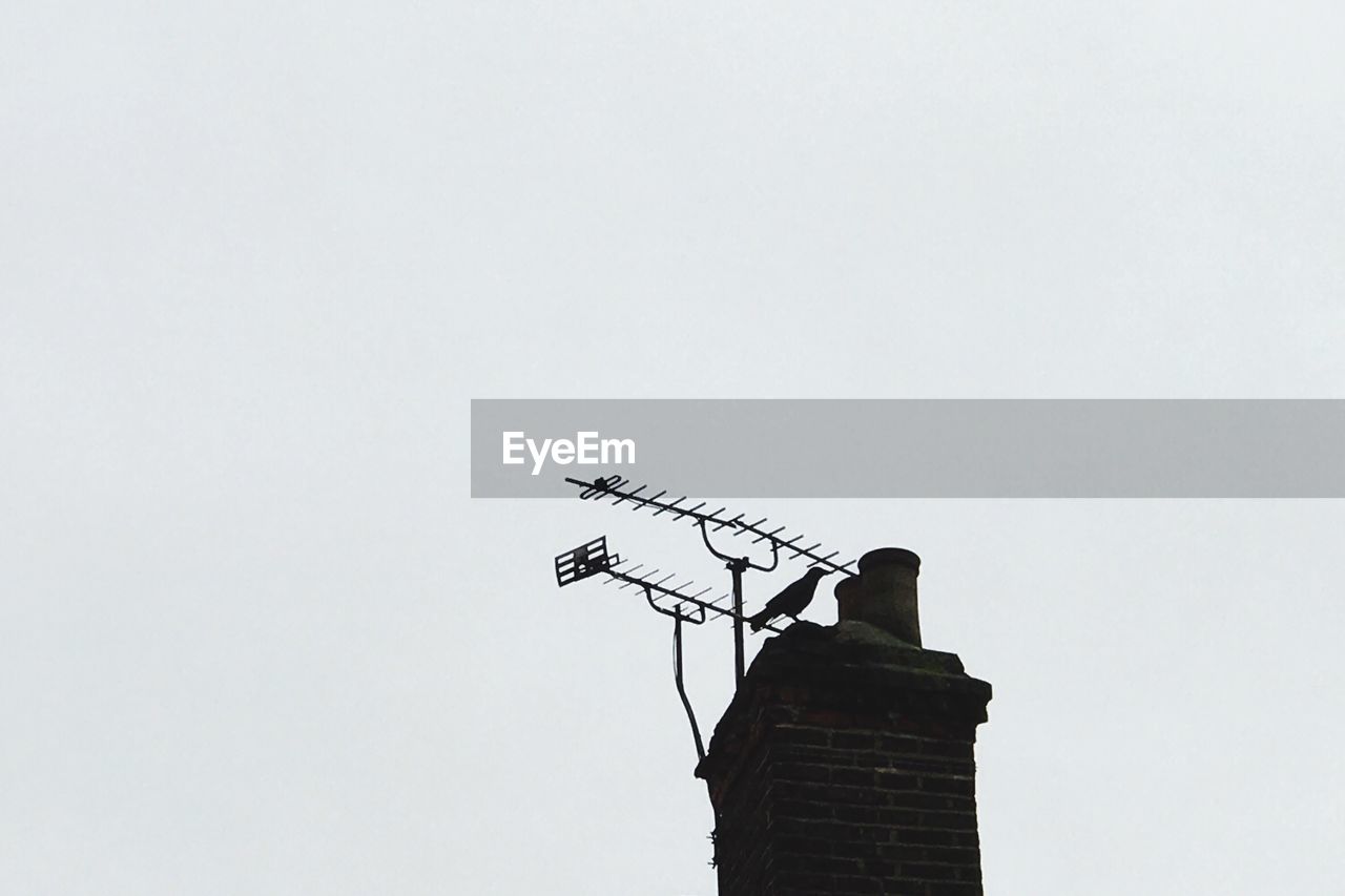 LOW ANGLE VIEW OF BIRD PERCHING ON CABLE AGAINST SKY