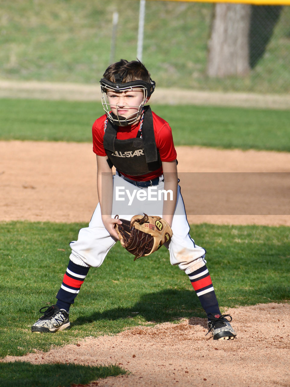 Rear view of boy on field