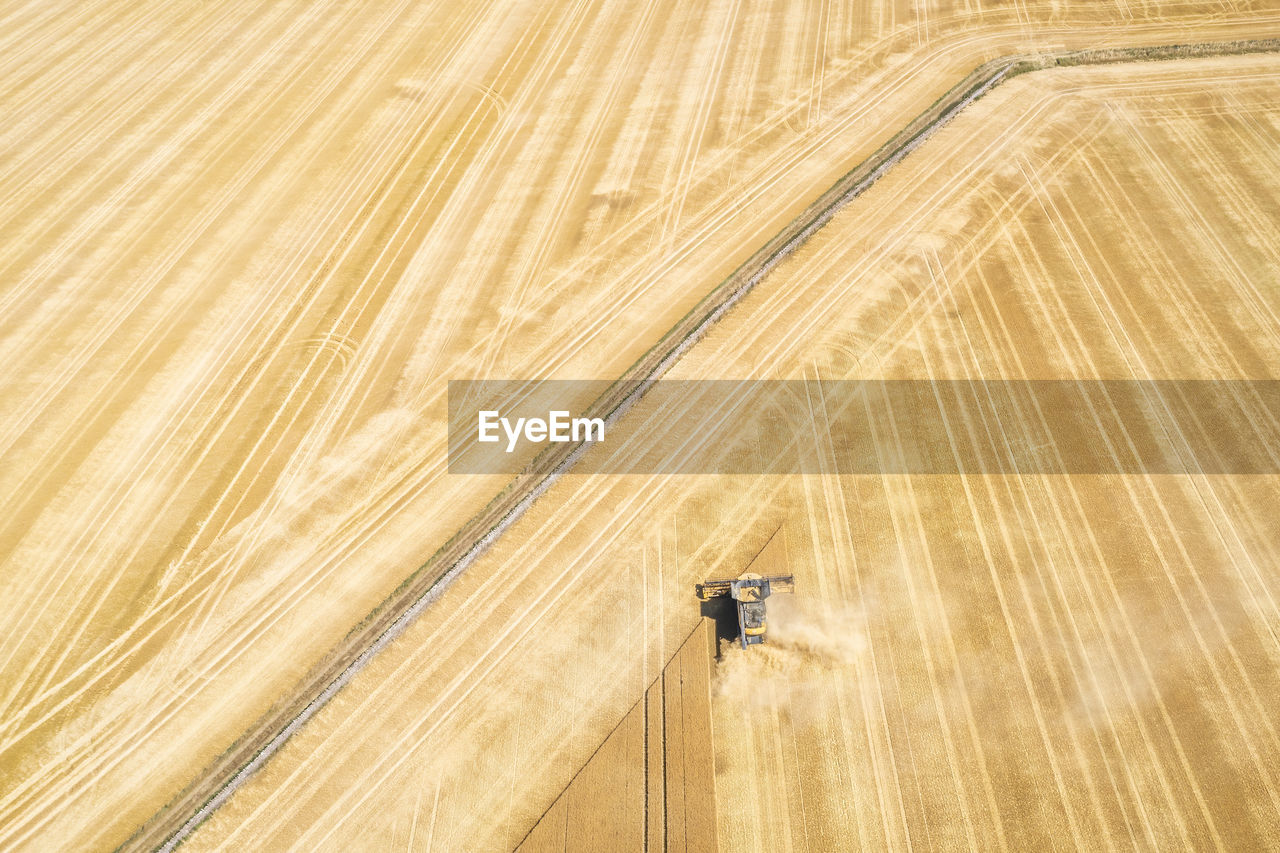 Aerial view of combine harvester in vast wheat field