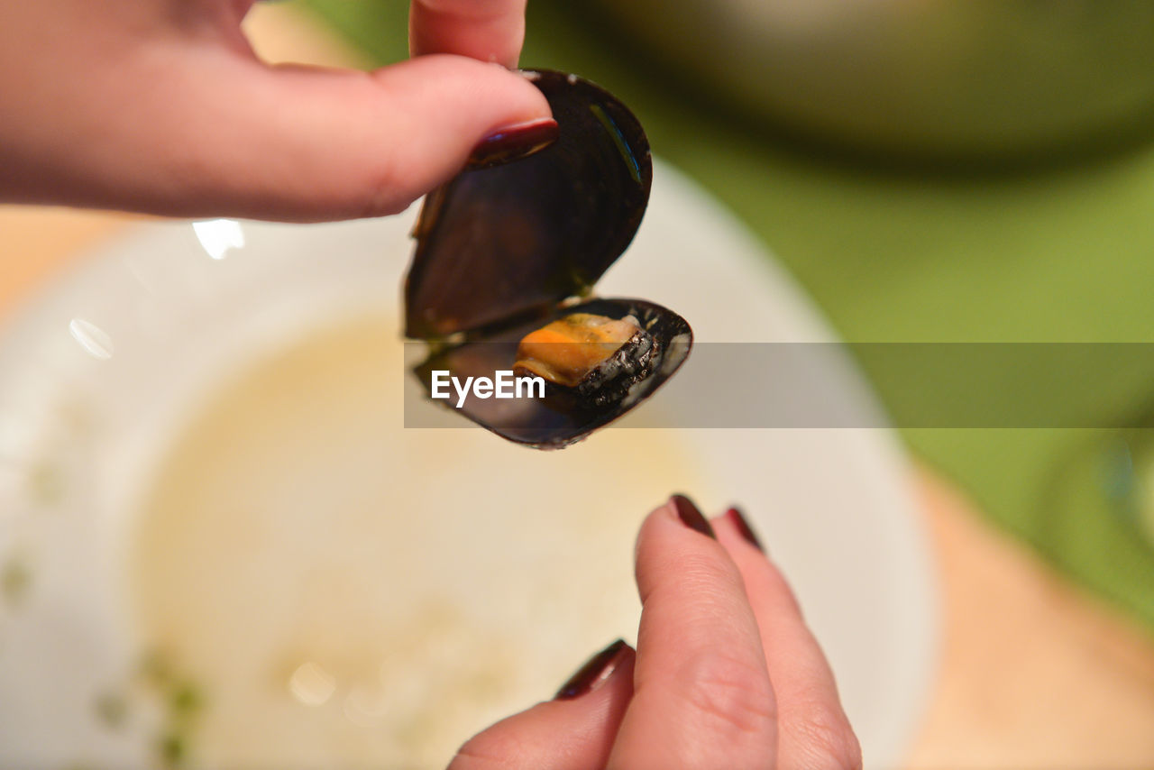 Close-up of woman holding clam