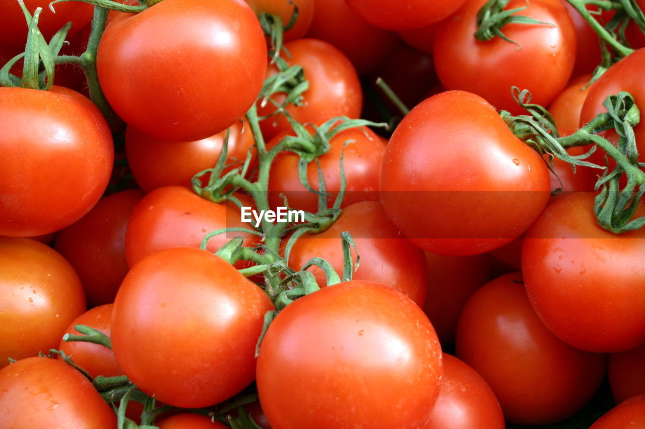 Close-up of tomatoes for sale at market